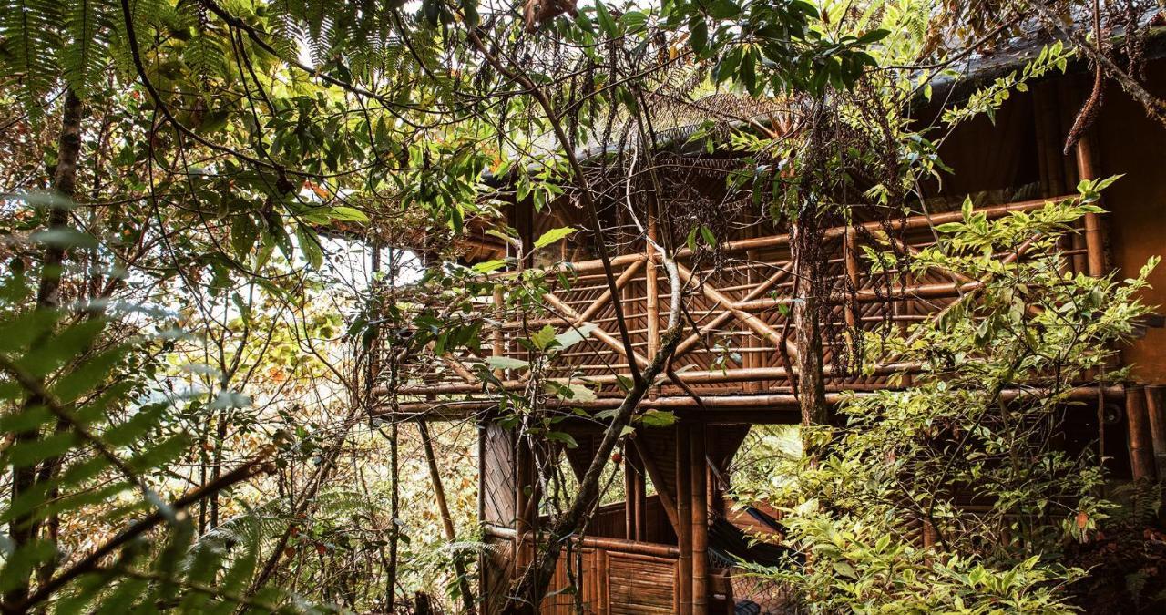 Hotel Guatape Adrianas Bambu Ngoại thất bức ảnh