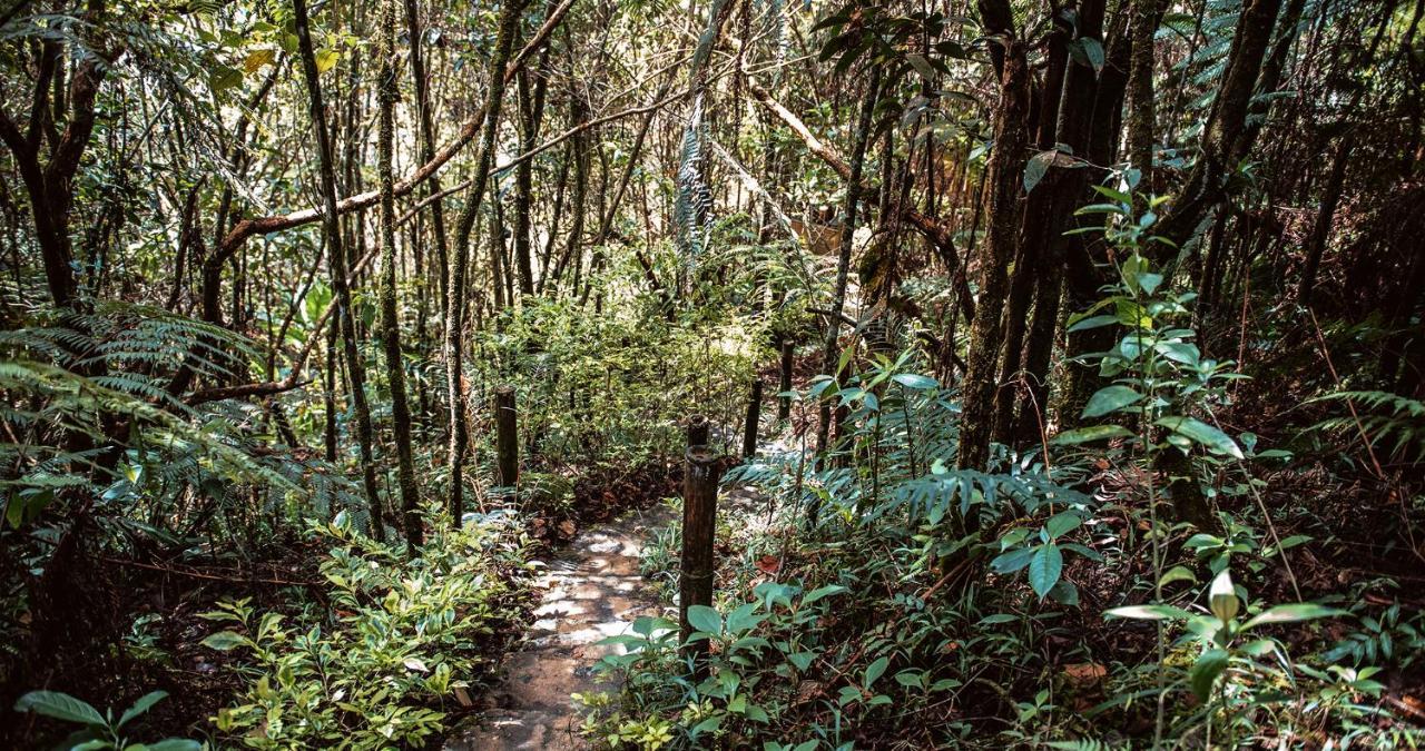 Hotel Guatape Adrianas Bambu Ngoại thất bức ảnh