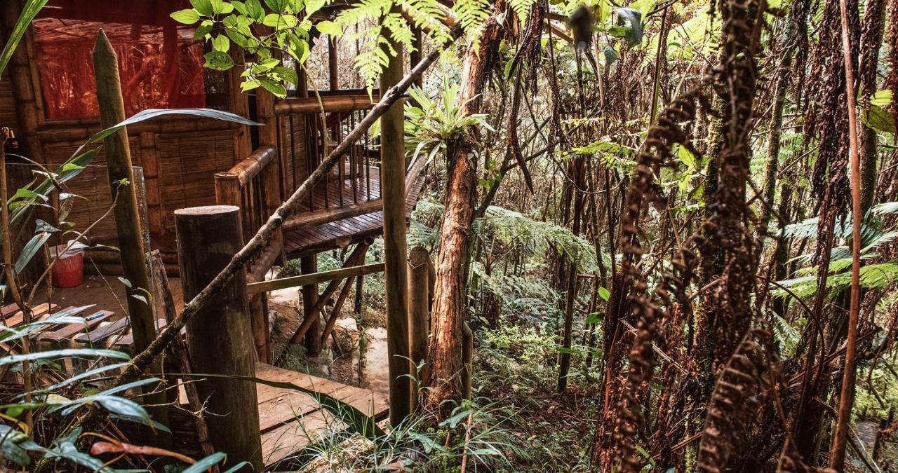 Hotel Guatape Adrianas Bambu Ngoại thất bức ảnh