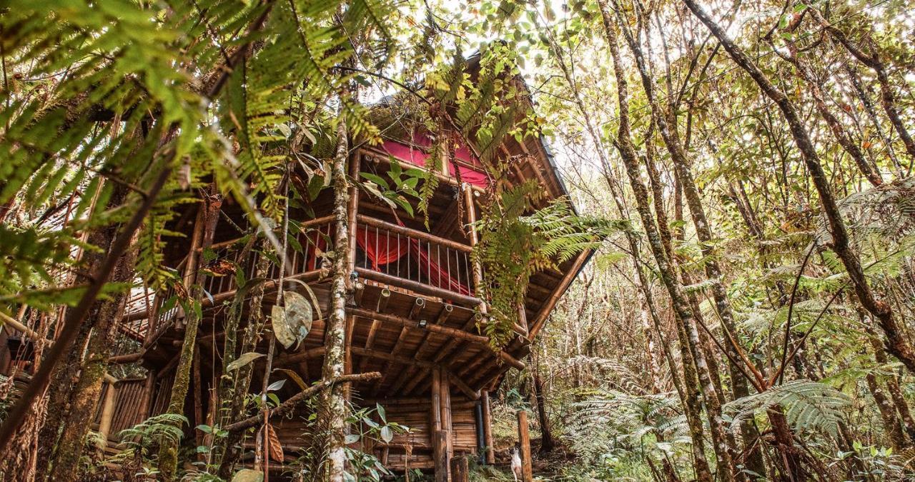 Hotel Guatape Adrianas Bambu Ngoại thất bức ảnh