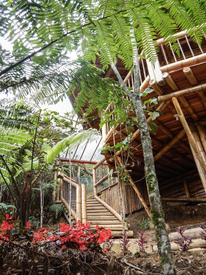 Hotel Guatape Adrianas Bambu Ngoại thất bức ảnh