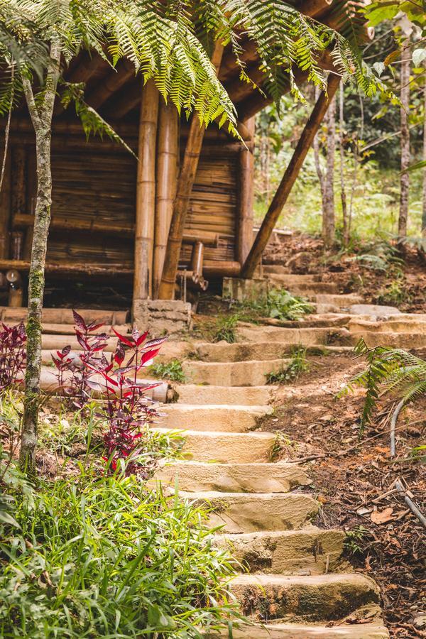 Hotel Guatape Adrianas Bambu Ngoại thất bức ảnh